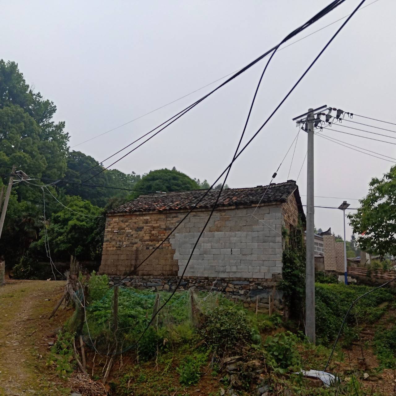 平安校園,靜待花開——堯渡鎮金蘋果幼兒園疫情防控應急演練 - 東至人