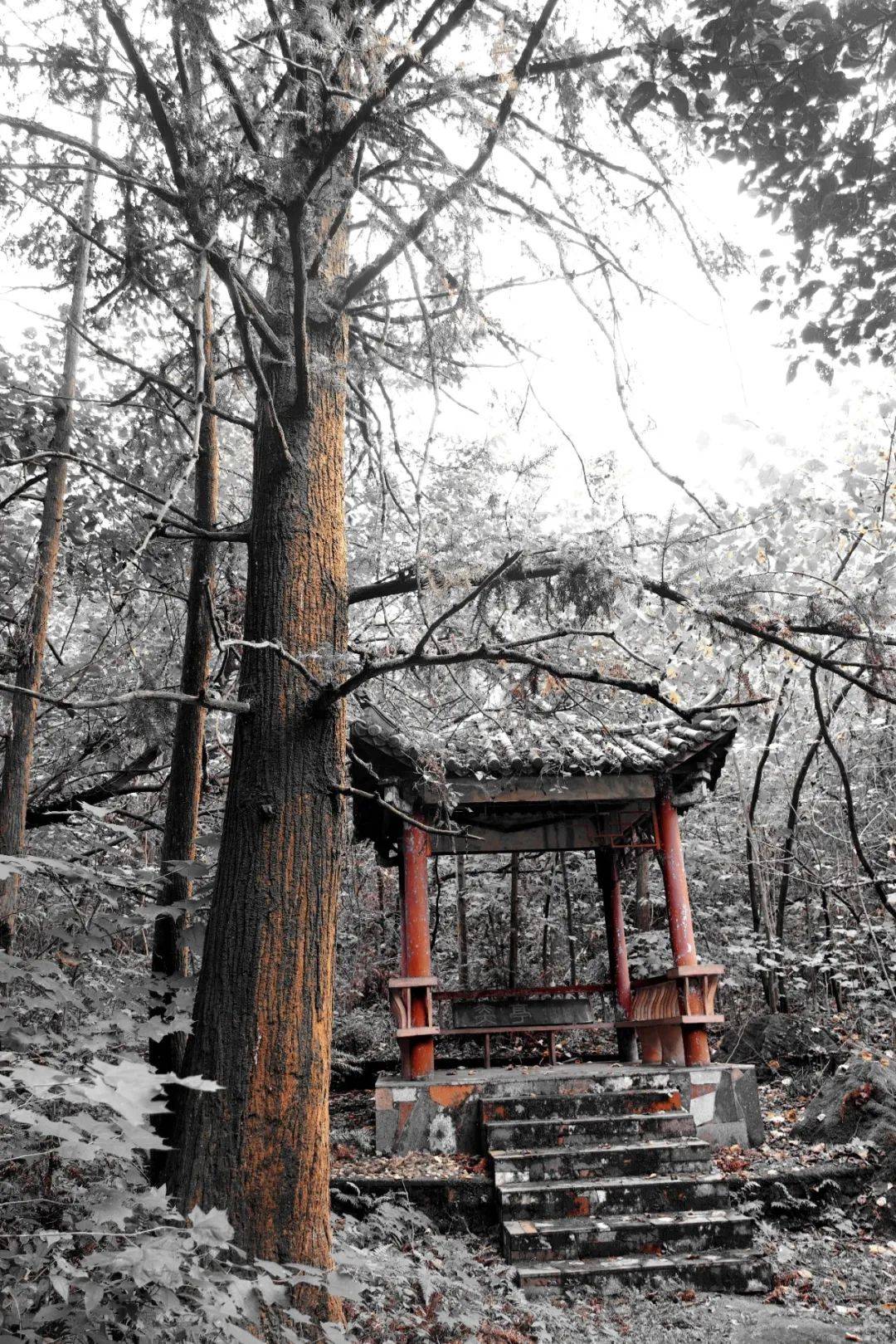 东至县大历山风景区图片